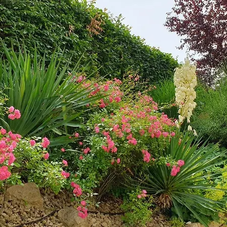 Art Of Living Mosel Апартаменты Longuich