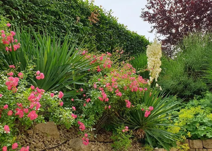 Art Of Living Mosel Apartamento Longuich